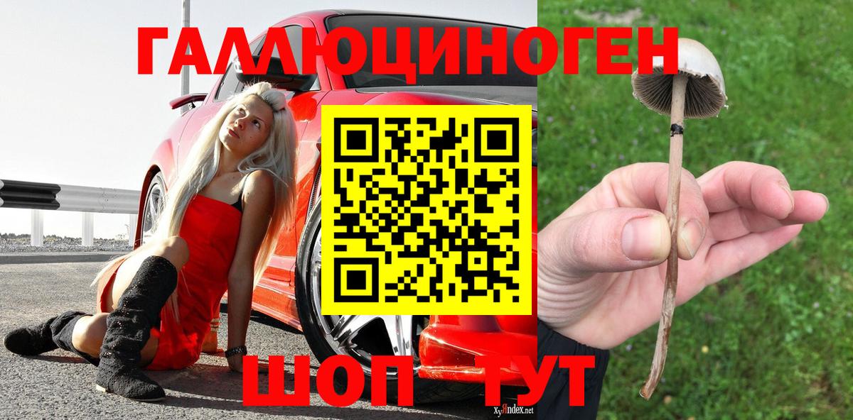 Бузулук  Псилоцибиновые грибы GOLDEN TEACHER  Вход с VPN 